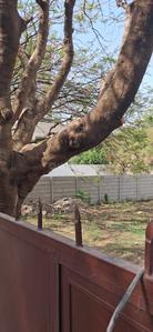 Image of 5600 Sq.ft Residential Plot / Land for sale in Baner, Pune for Rs. 100000000