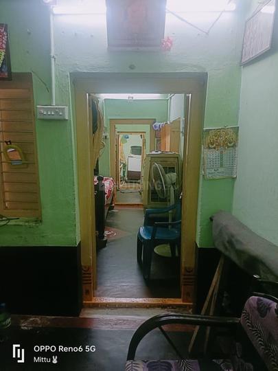 Powerpet Main Image 1