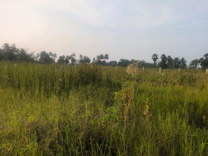 Bhasa Eco Village Main Image 1