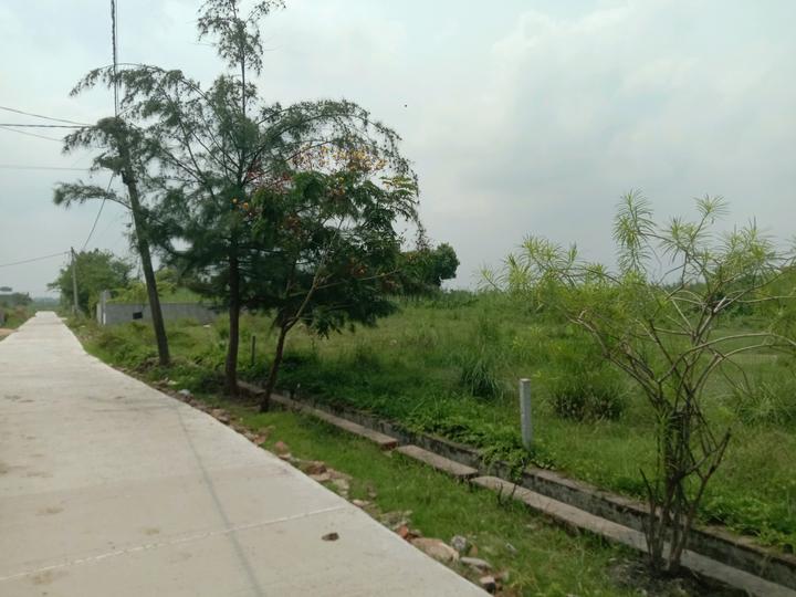 Apparent JB Garden Main Image 1