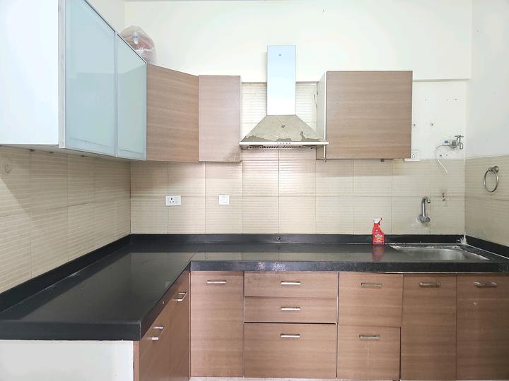 Pride Purple Park Springs Main Image 1