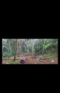 Thalapoyil paramb in moolad Plot View 1