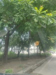 Image of 2250 Sq.ft 3 BHK Independent House for sale in Sector 80, Mohali for Rs. 55000000