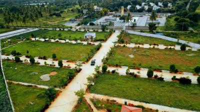 Thyme Park Plot View 1
