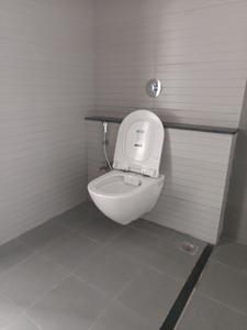 Common Bathroom Image of 1800 Sq.ft 4 BHK Apartment / Flat for sale in Mantra Mirari by Mantra Properties , Mundhwa Pune for Rs. 26500000