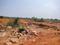 Patrapoda Plot View 2