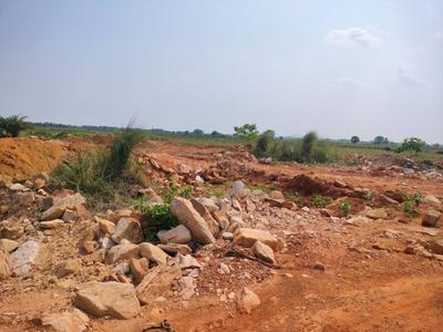 Patrapoda Plot View 2