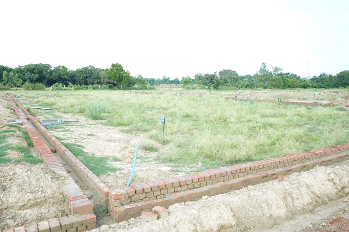 Srinivasa C Main Image 1