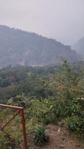 Thano Greens Plot View 1