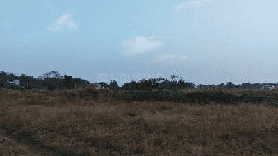 Namkum Plot View 2