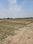 Rohania Main Image 1