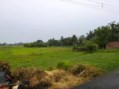 Golden city 2 Sonarpur plot Plot View 2
