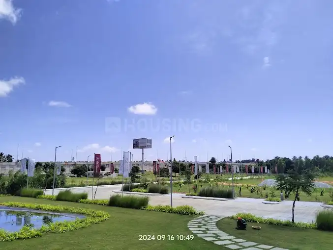 Arvind Orchards Main Image 1
