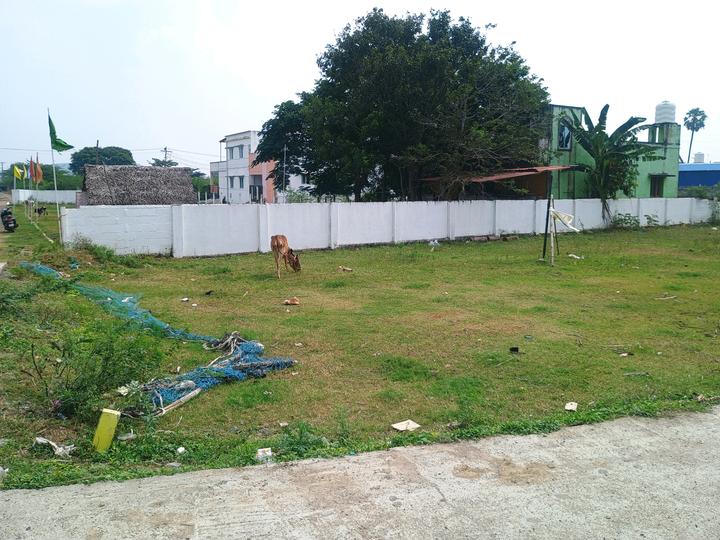 Kattankulathur Main Image 1