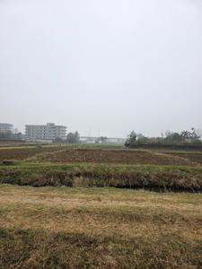 Image of 1361 Sq.ft Residential Plot / Land for sale in Shivala Par, Patna for Rs. 6500000