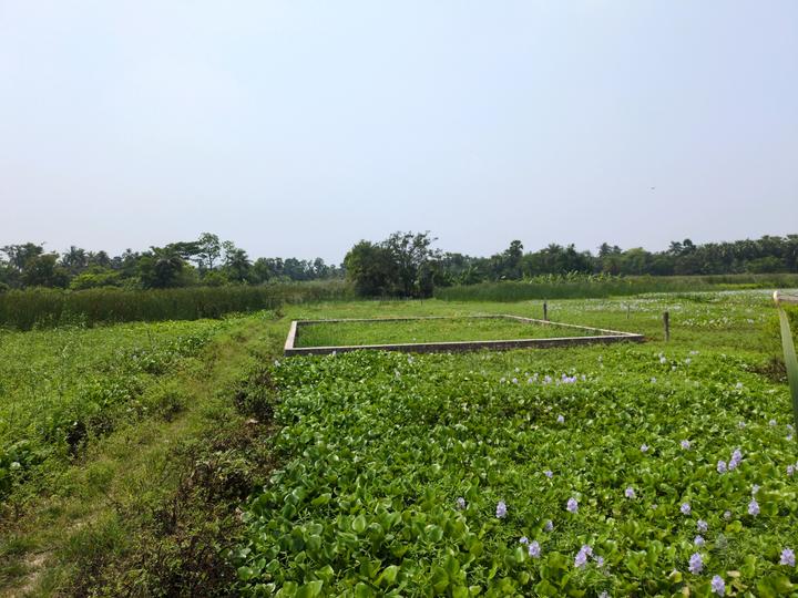 Sonargaon 2 Main Image 1