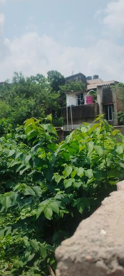 Gitanjali Park Main Image 1