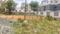 Thirumal Nagar Main Image 1