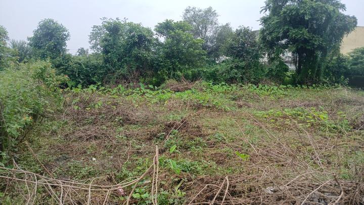 NEHRUGRAM JANKI VIHAR Main Image 1