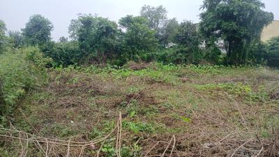 Residential Plot