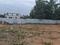Edapalayam Plot View 2