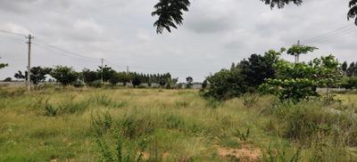 Image of 1200 Sq.ft Residential Plot / Land for sale in G3 Green Valley, Sheikhmanpura, Kolar for Rs. 3000000