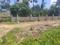 Diamond Park, Joka Main Image 1