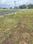 Ukkadam Main Image 1