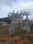 Basthipura Main Image 1