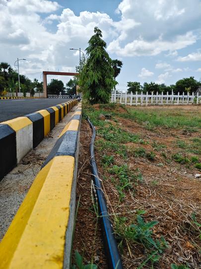 Narpavi Singhvi Emerald Main Image 1