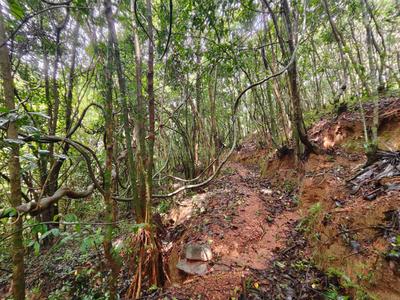 Image of 43650 Sq.ft Residential Plot / Land for sale in Belman, Udupi for Rs. 5000000