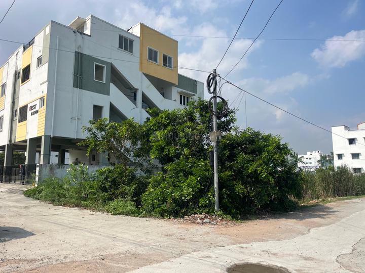 Anala Apple Tree Main Image 1