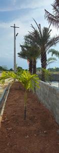 Fortune Avenue Luxury Villa Plots Plot View 2