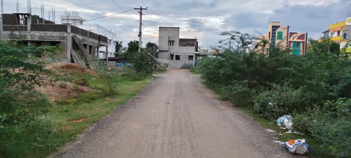 Gods Park Main Image 1