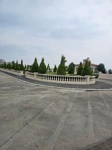 Residential Plot
