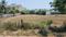 Muttukadu Plot View 2