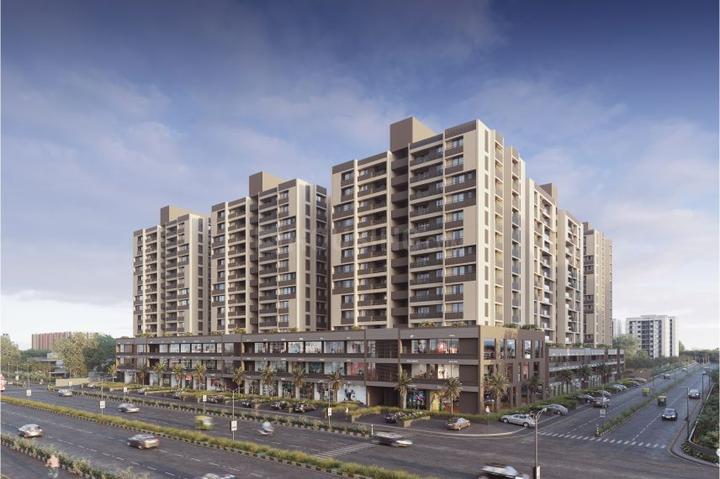 Olive Greens Main Image 1