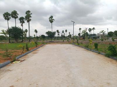 Residential Plot
