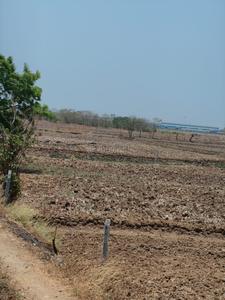 Invest Mahamumbai Plots In Sarde Plot View 1