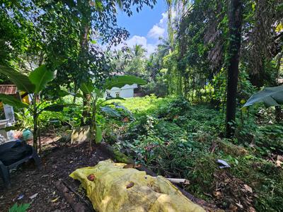 Image of 472 Sq.ft Residential Plot / Land for sale in Parra, Goa for Rs. 35400000