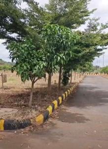 Image of 3303 Sq.ft Residential Plot / Land for sale in Woxen County Phase I, Vikarabad Town, Vikarabad for Rs. 5500000