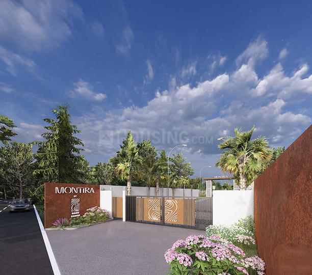 RARE EARTH MONTIRA Main Image 1