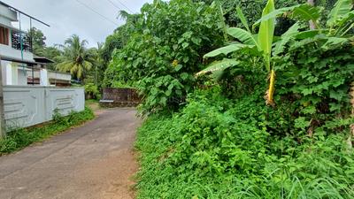 Residential Plot