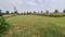 Wallfort Green Main Image 1