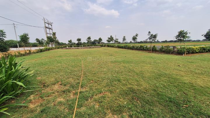 Wallfort Green Main Image 1