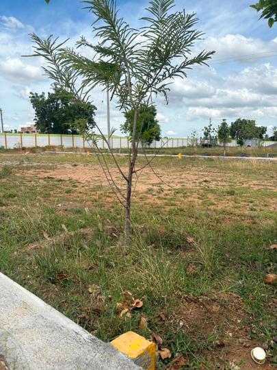 shanmuga garden muthur Main Image 1