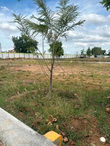 shanmuga garden muthur Plot View 1