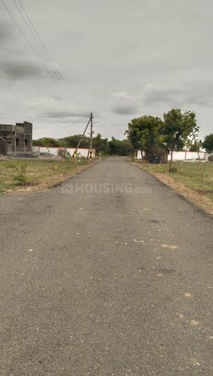 Annur Main Image 1