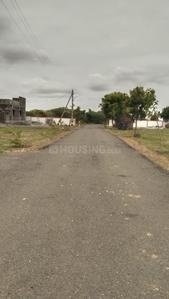 Annur Plot View 1