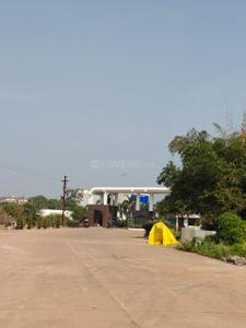 ACACIA Plot View 1